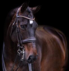 Imperial Riding Lovagló nyereg nagyló barna