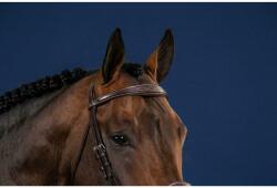 DYON Anatómiai egyenes lóhomlokpánt Dy'on barna