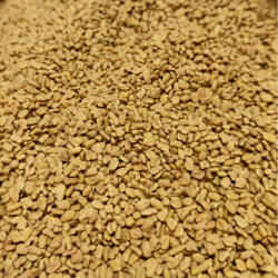 Paleolit Görögszénamag egész 25kg lédig Fenugreek seeds