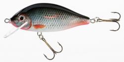 JAXON holo select karaś lures 7, 5cm f d (VJ-KA8FD) - nextfish