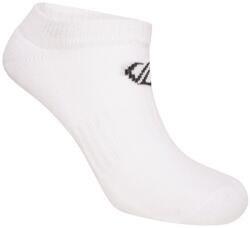 Dare 2b Чорапи Dare 2b Essentials fitness no show socks 2 pack - White