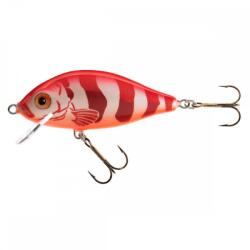 JAXON karaś 8, 0cm f re (VJ-KA85FRE) - nextfish