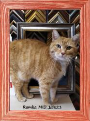 Marek & Darek Klasszikus képkeret falra és asztalra, 15x21 cm, fa (5904996593247)