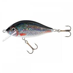 JAXON karaś 8, 0cm f p (VJ-KA85FP) - nextfish