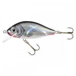 JAXON karaś 8, 0cm f sc (VJ-KA85FSC) - nextfish