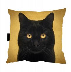  Macska Párna Macska Fekete cica tökéletes ajándék (czarnykot)