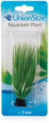 INVITAL UnionStar akváriumi növény UH AP016 10 cm