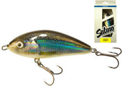 SALMO wobbler fatsof10f hls (84550-1B2) - nextfish