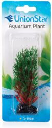 INVITAL UnionStar UH AP003A 10cm akváriumi növény