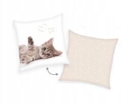 HERDING Kétoldalas díszpárna 40/40cm Cicus (5551206003)