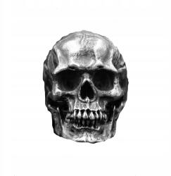  Viking Gyűrű Pecsétgyűrű Rozsdamentes Acélból Witcher Stílus (5060211017322)