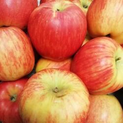 Rohoznicei Farm Bajnok Alma Cz 1 kg