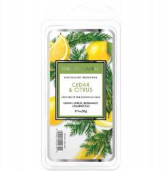 Colonial Candle Szójaviasz illatgyertya Cedrus Citrus Colonial Candle (665098522621)