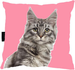  Minecoon Macska Párna, tökéletes ajándék (pod2dminecoon)