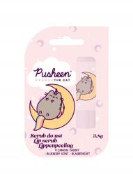 Pusheen Ajakbalzsam Erdei Gyümölcsös Szájfény 11.90zł