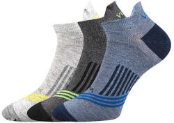 Voxx zokni Rex 12 mix 3 pár 47-50 113633 (113633)