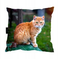  Vörös macska párna 40x40 Ajándéknak is tökéletes (kotrudy2)