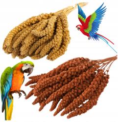  Fehér Vörös Senegáli Köles 5KG 5KG Tiszta, Nagy Kalászok Madaraknak