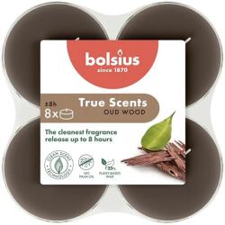 Bolsius Illatos, barna teamécsesek, maxi méretű, fa illatú Bolsius, 8 darabos (8717847138002)