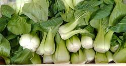 Farma Rohoznice Pak Choi csomag 500 g
