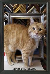 Marek & Darek Klasszikus képkeret falra és asztalra, 15x21 cm, fa, fekete (5904996590314)