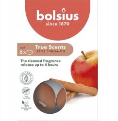 Bolsius illatos teamécsesek Alma Fahéj illatú 6 db True Scents (8717847151452)