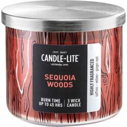 Candle Lite Természetes illatgyertya Sáfrány Vetiver 396 g (076001519476)