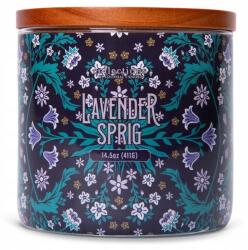 Colonial Candle Levendula illatú szójaviasz gyertya 3 kanóccal, 411 g (665098507086)