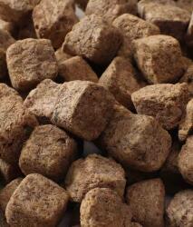 Premium Daily Food Liofilizált Artemia haltáp 100 g