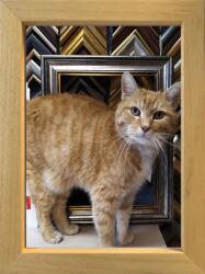 Marek & Darek Klasszikus képkeret falra és elhelyezésre 15x21 fa (5904996595005)