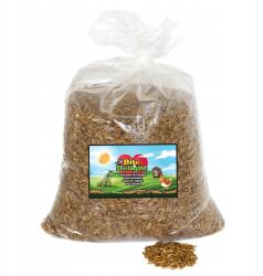  Lisztbogár lárva Szárított lisztkukac szárított rovarok madáreleség csirkéknek 10kg - allegro - 45 580 Ft