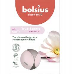 Bolsius illatos teamécsesek, magnólia illatú, 4 órás égési idő, 6 darabos True Scents kiszerelés (8717847137340)