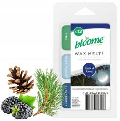 Bloome Illatviasz, fenyő, ködös völgy, szeder illatok, 12 darab (988120)