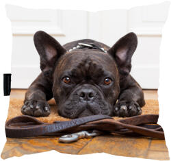  Kutyapárna Francia Bulldog tökéletes ajándék (buldog)