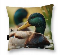  Párna 40X40 Kacsa nagy puha alvó boglárka dekoráció (Poduszka z kaczką kaczka 40x40 miękka)