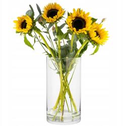  Álló Váza 29x16 cm Dekoratív Hengeres Átlátszó 4900 ml Üveg (B0BVGKMJ1T)