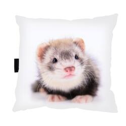  Görénypárna görénnyel 40x40 alváshoz Ajándék