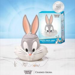 Charmed Aroma Gyertya ékszerrel, Tapsi Hapsi ajándék, 925-ös ezüst nyaklánc Charmed Aroma (055848206237)