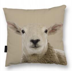  Bárány Párna Bárány 40x40 Ajándék puha alvó dekoratív kétoldalas (PODUSZKA Z OWCĄ OWIECZKĄ 40x40)