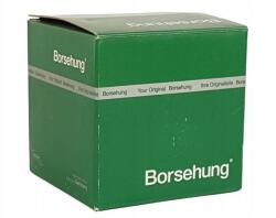Borsehung B18848 Vezérműlánc készlet