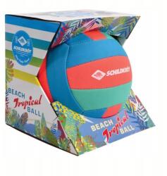 Schildkrot strandlabda (S0YTG45)