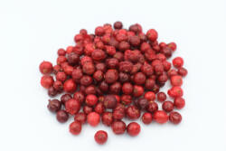  Fagyasztva szárított Erdei Tőzegáfonya 20g (5904653754004)