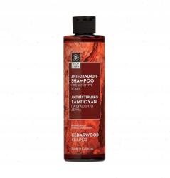 Cedrusfa Sampu Korpa Ellen 250ml