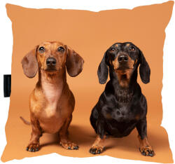  Tacskó Kutyapárna 40x40 Ajándéknak is tökéletes (jamniki2)