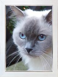 Marek & Darek Kész Keret Állításhoz És Akasztáshoz 15X21-ES Képekhez Titán Fehér (5904996593483)