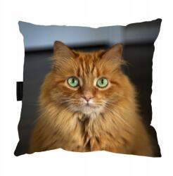  Vörös macska alvópárna 40x40 Ajándék (kotrudy2)