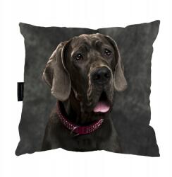  Kutyapárna Dog Német kutya tökéletes ajándék (P2Ddogniemiecki)