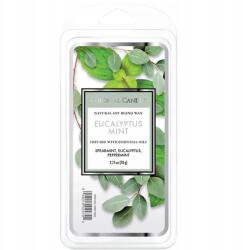 Colonial Candle Szójaviasz illatgyertya Eukaliptusz Menta Colonial (665098522751)