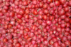 Farma z Rohoznice Golyós retek, levél nélkül, 300 g-os csomagolás