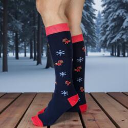 Yvonne Mikulásos-Karácsonyi tacskós térdzokni 39-42 103378